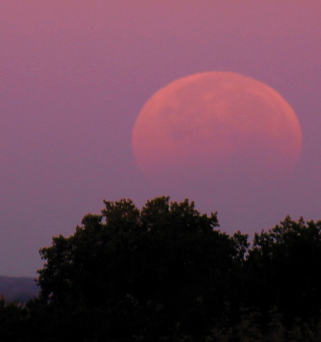 Eclisse lunare dell'ottobre 2014 osservata da Minneapolis